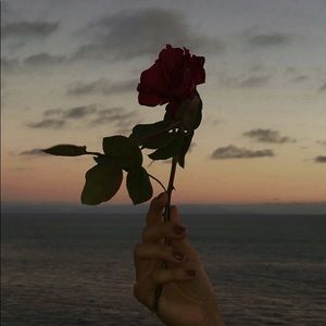 Meet your Posher, Delainey